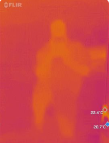 Reflected Infrared Image Reference